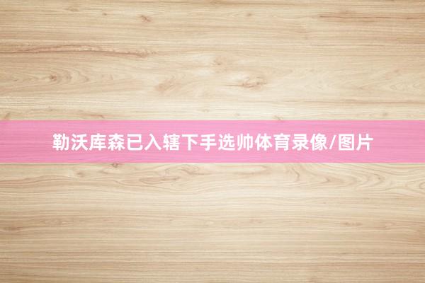 勒沃库森已入辖下手选帅体育录像/图片