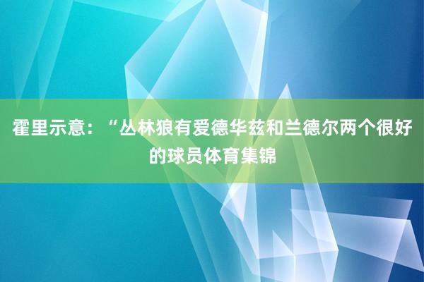 霍里示意：“丛林狼有爱德华兹和兰德尔两个很好的球员体育集锦