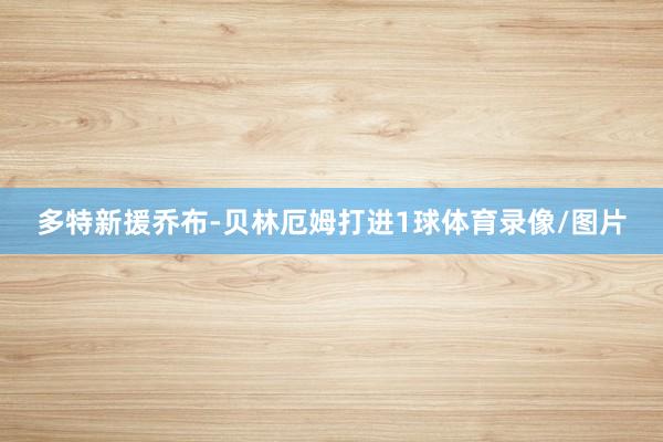 多特新援乔布-贝林厄姆打进1球体育录像/图片