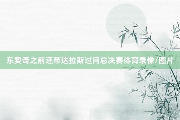 东契奇之前还带达拉斯过问总决赛体育录像/图片