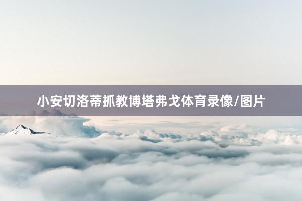小安切洛蒂抓教博塔弗戈体育录像/图片