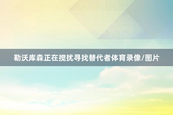 勒沃库森正在搅扰寻找替代者体育录像/图片