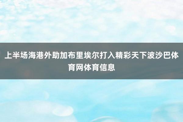上半场海港外助加布里埃尔打入精彩天下波沙巴体育网体育信息