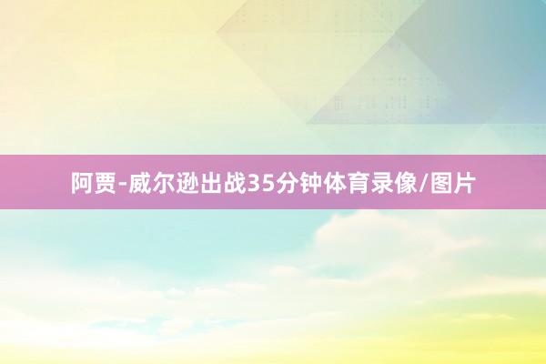 阿贾-威尔逊出战35分钟体育录像/图片
