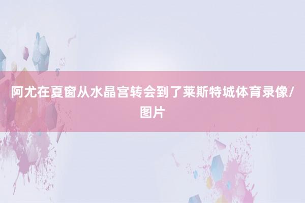 阿尤在夏窗从水晶宫转会到了莱斯特城体育录像/图片
