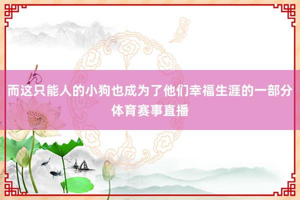 而这只能人的小狗也成为了他们幸福生涯的一部分体育赛事直播