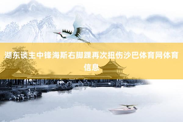 湖东谈主中锋海斯右脚踝再次扭伤沙巴体育网体育信息