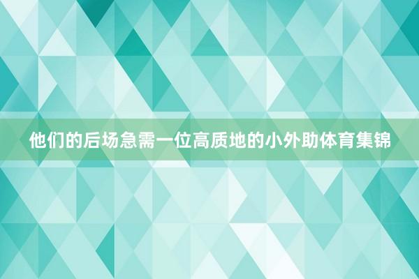 他们的后场急需一位高质地的小外助体育集锦