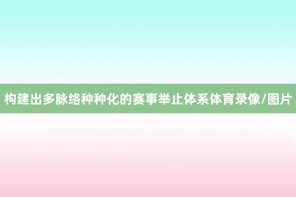 构建出多脉络种种化的赛事举止体系体育录像/图片