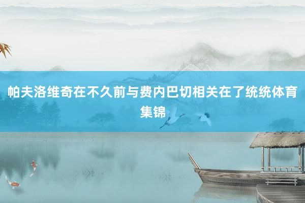 帕夫洛维奇在不久前与费内巴切相关在了统统体育集锦