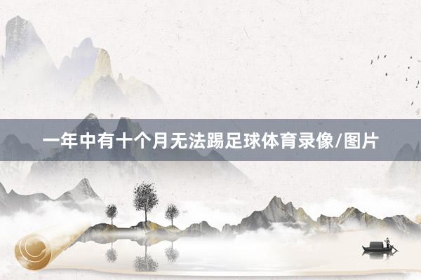 一年中有十个月无法踢足球体育录像/图片
