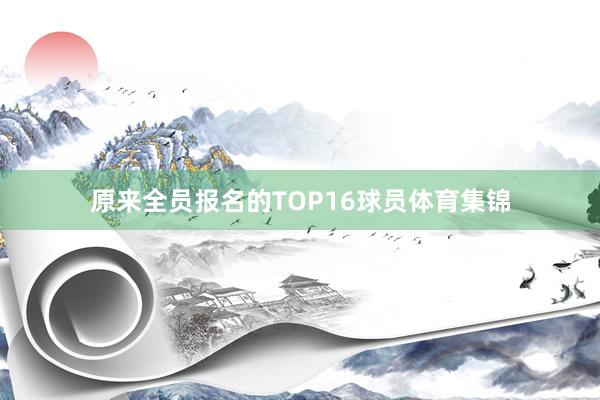 原来全员报名的TOP16球员体育集锦