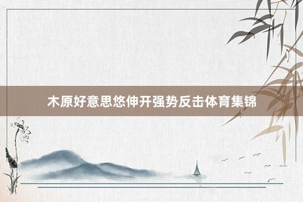 木原好意思悠伸开强势反击体育集锦