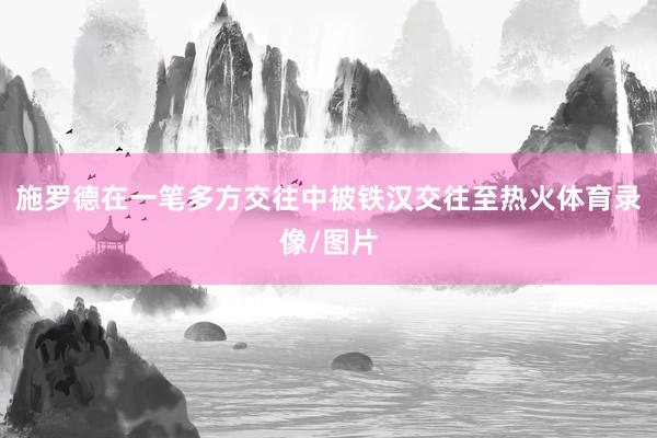 施罗德在一笔多方交往中被铁汉交往至热火体育录像/图片