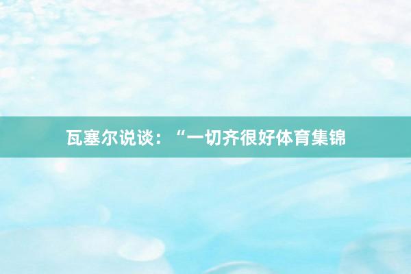 瓦塞尔说谈:“一切齐很好体育集锦